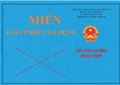 Các trường hợp miễn giấy phép lao động Việt Nam