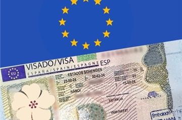 Hồ sơ và thủ tục xin visa Schengen mới nhất: Cẩm nang từ A-Z